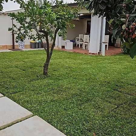 Minoa Relax 招待所 *